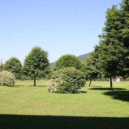 Chiemgau Appartements Inzell Kültér fotó